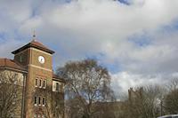 Cjp_2017-03-19_145510.jpg