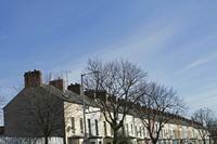 Cjp_2017-03-24_094758.jpg