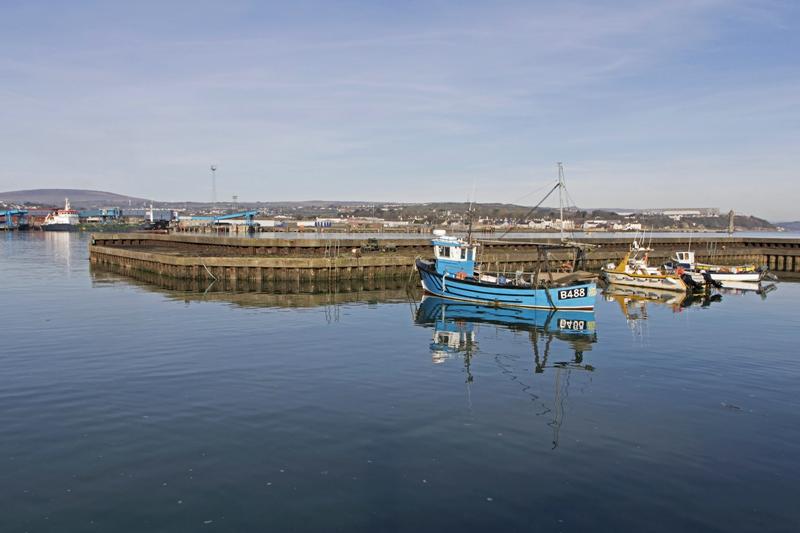 Cjp_2017-03-25_082834.jpg