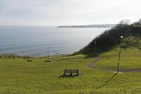Cjp_2017-03-25_093948.jpg