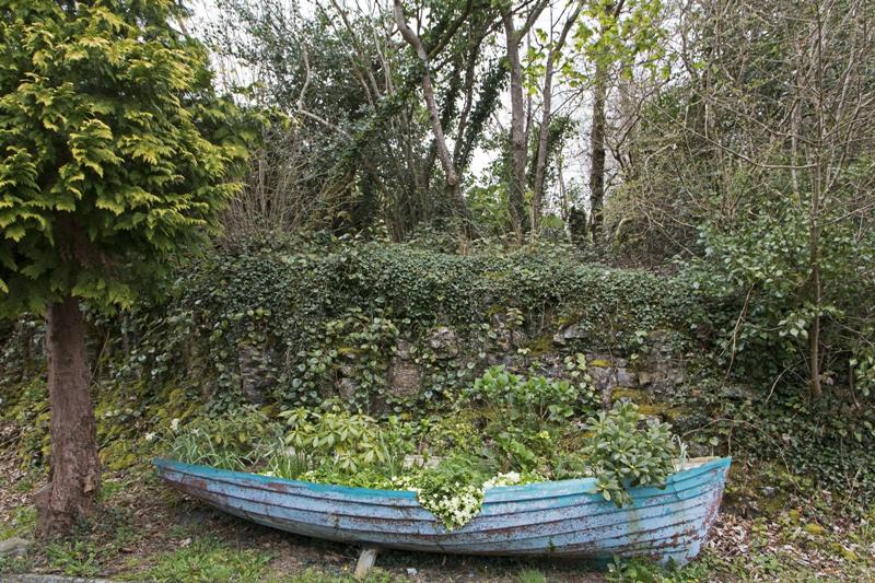 Cjp_2017-04-03_133210.jpg