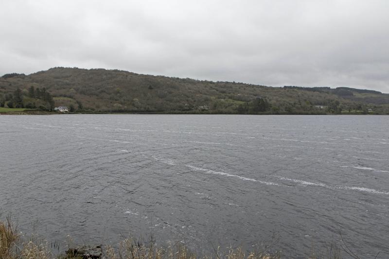 Cjp_2017-04-03_133406.jpg