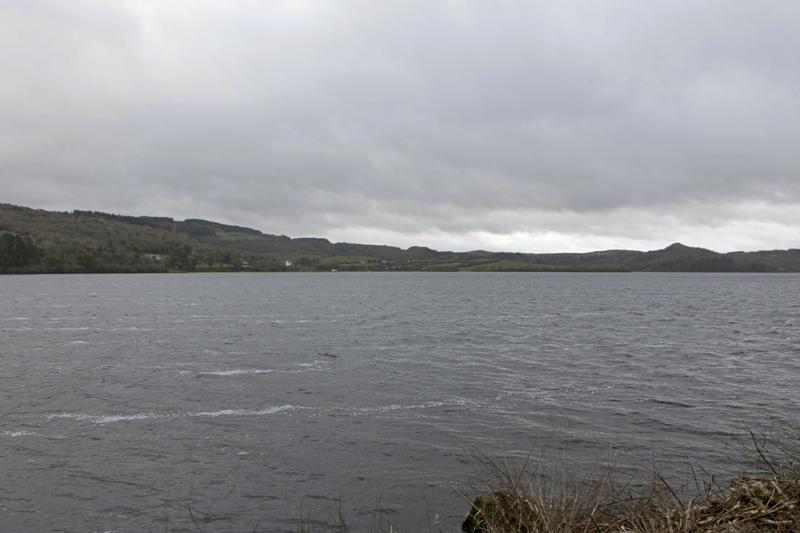 Cjp_2017-04-03_133412.jpg