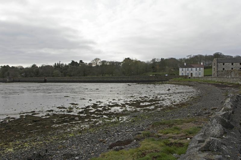 Cjp_2017-04-04_080928.jpg
