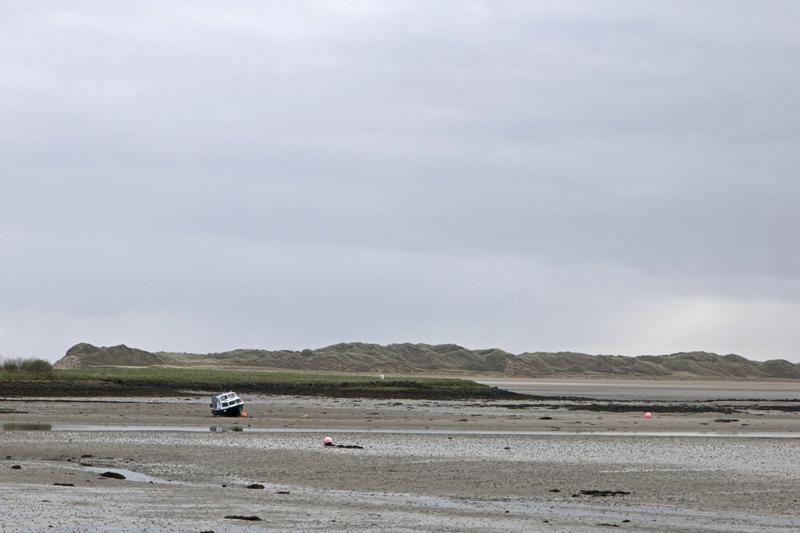 Cjp_2017-04-04_081140.jpg