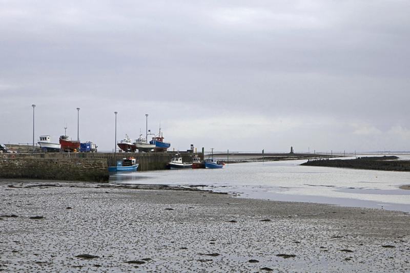 Cjp_2017-04-04_081256.jpg