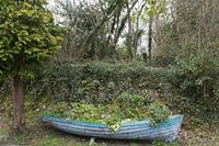 Cjp_2017-04-03_133210.jpg