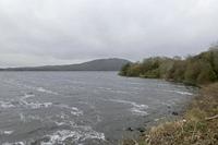 Cjp_2017-04-03_133230.jpg