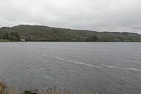 Cjp_2017-04-03_133406.jpg