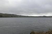 Cjp_2017-04-03_133412.jpg