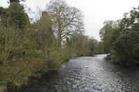 Cjp_2017-04-03_153042.jpg