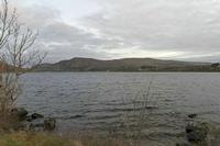 Cjp_2017-04-04_061012.jpg