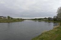 Cjp_2017-04-04_070310.jpg