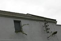 Cjp_2017-04-04_073144.jpg