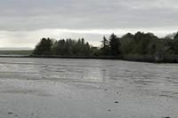 Cjp_2017-04-04_081004.jpg