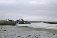 Cjp_2017-04-04_081256.jpg
