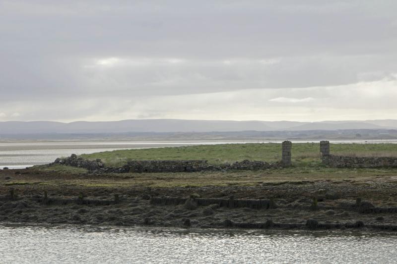 Cjp_2017-04-04_081714.jpg
