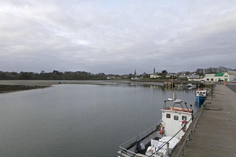 Cjp_2017-04-04_081908.jpg