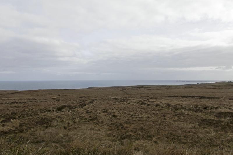 Cjp_2017-04-04_092436.jpg