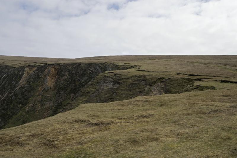 Cjp_2017-04-04_120440.jpg