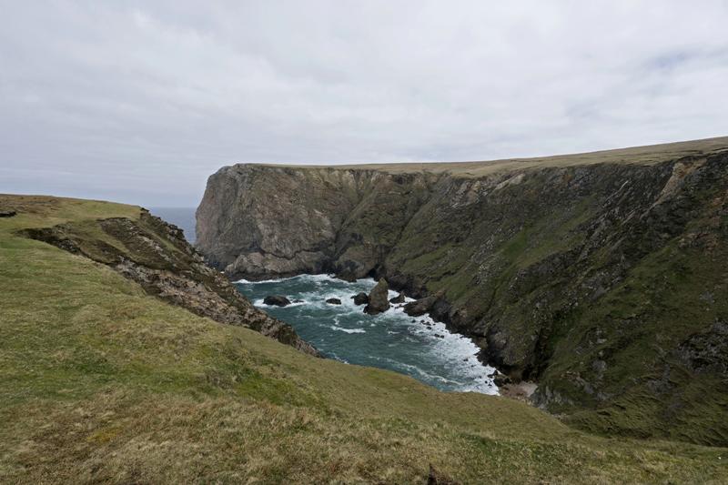 Cjp_2017-04-04_120520.jpg