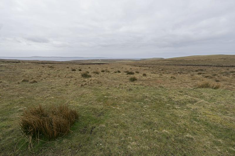Cjp_2017-04-04_120530.jpg