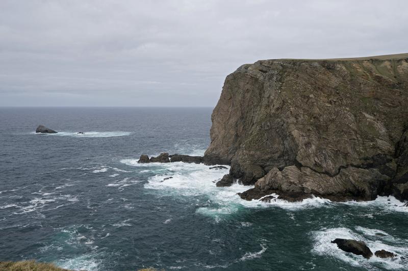 Cjp_2017-04-04_120900.jpg