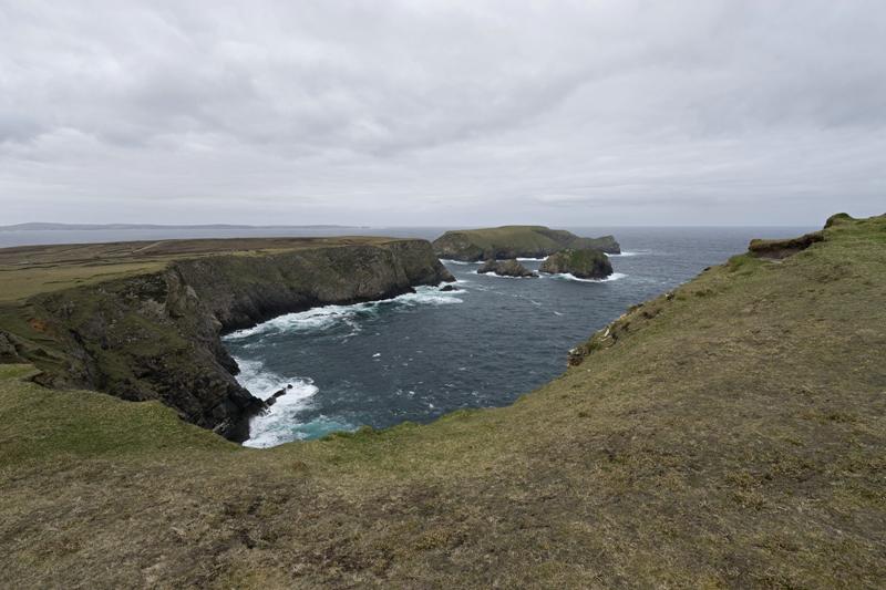 Cjp_2017-04-04_121406.jpg