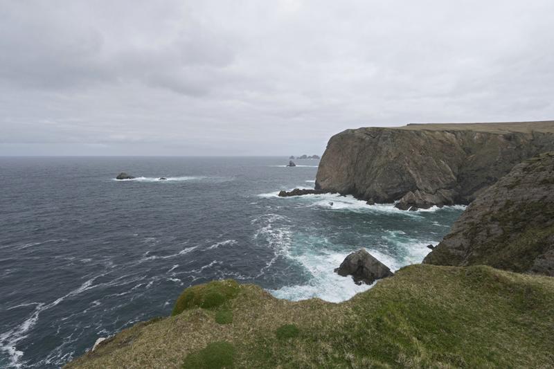 Cjp_2017-04-04_121440.jpg