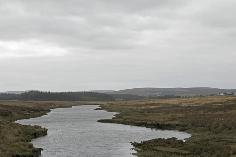 Cjp_2017-04-04_123952.jpg