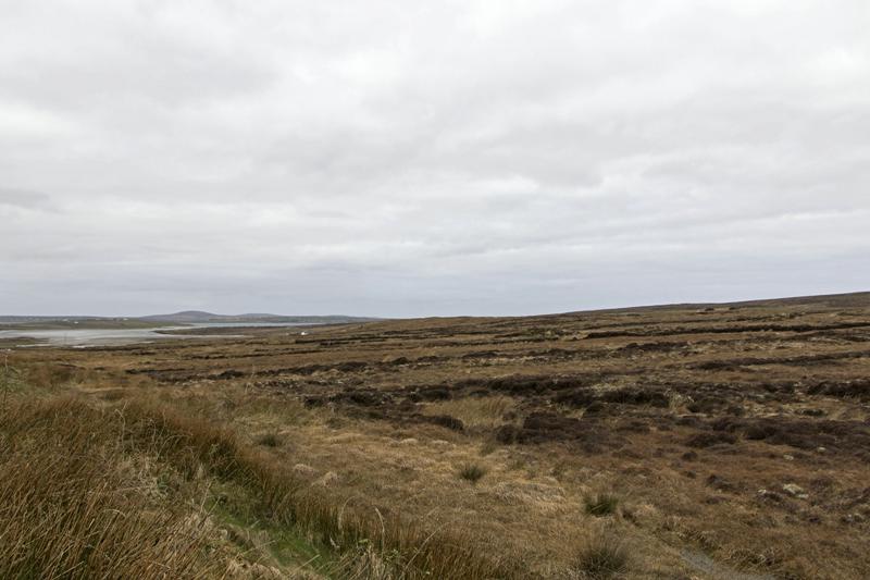 Cjp_2017-04-04_125316.jpg