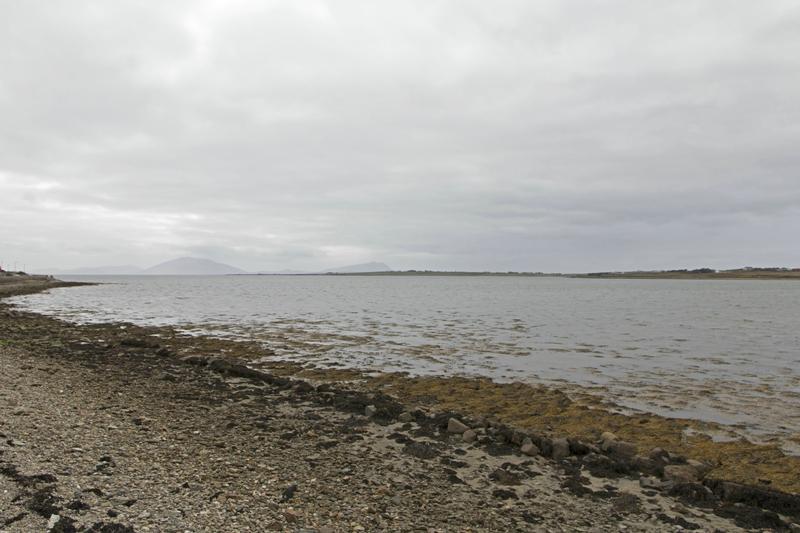 Cjp_2017-04-04_132434.jpg