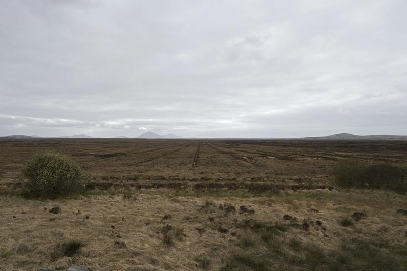 Cjp_2017-04-04_140902.jpg