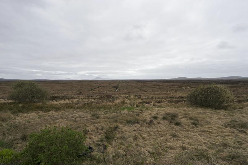 Cjp_2017-04-04_140944.jpg
