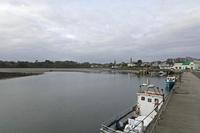 Cjp_2017-04-04_081908.jpg