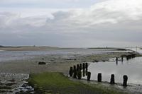 Cjp_2017-04-04_081958.jpg