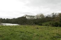 Cjp_2017-04-04_082944.jpg