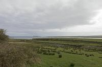Cjp_2017-04-04_091722.jpg