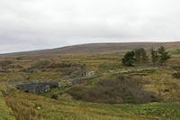 Cjp_2017-04-04_092226.jpg