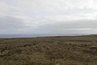 Cjp_2017-04-04_092436.jpg