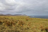 Cjp_2017-04-04_093738.jpg