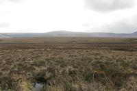 Cjp_2017-04-04_094432.jpg