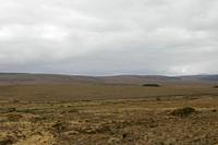 Cjp_2017-04-04_094836.jpg