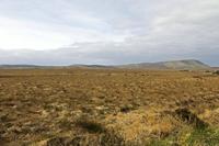 Cjp_2017-04-04_100034.jpg