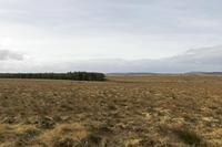 Cjp_2017-04-04_100048.jpg
