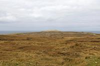 Cjp_2017-04-04_115800.jpg