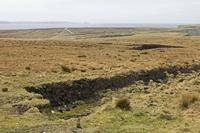 Cjp_2017-04-04_120328.jpg