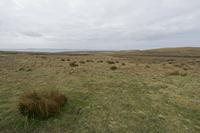 Cjp_2017-04-04_120530.jpg