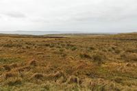 Cjp_2017-04-04_120726.jpg