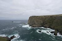 Cjp_2017-04-04_120918.jpg